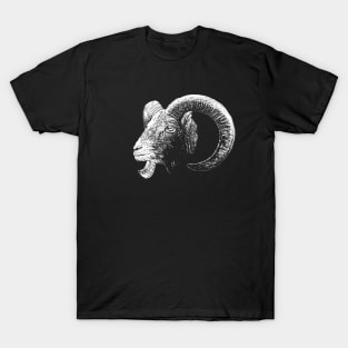 Mouflon T-Shirt